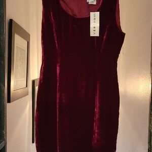 Velvet Vertigo Burgundy Dress